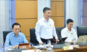 Không để cơ chế đặc thù APEC 2027 trở thành 'lá chắn' hợp thức hóa sai phạm