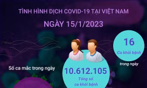 Ngày 15/1/2023: Cả nước chỉ ghi nhận 22 ca COVID-19 mới