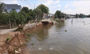 Hậu Giang ưu tiên đầu tư các công trình cấp bách phòng, chống sạt lở