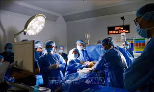 Kỷ lục mới của bác sĩ Việt Nam: Chỉ mất 30 phút can thiệp thông tim bào thai