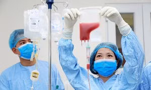 Nối dài sự sống, ước mơ của người bệnh từ ghép tế bào gốc