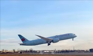 Cựu cơ trưởng Canada bị truy tố vì sử dụng giấy phép hành nghề giả suốt 17 năm