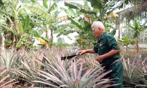 Phát huy phẩm chất 'Bộ đội Cụ Hồ' trong thời bình