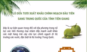 Thông tin về 70 tấn dừa tươi của Tiền Giang xuất khẩu chính ngạch sang Trung Quốc