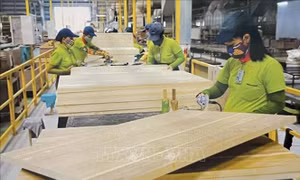 Hoa Kỳ áp thuế đối ứng 46%: Lo ngại đứt gãy chuỗi cung ứng toàn cầu