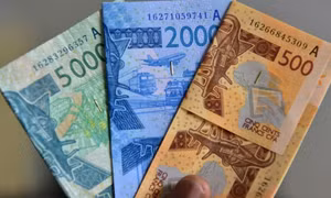 Sắp đưa vào lưu thông đồng tiền chung Tây Phi