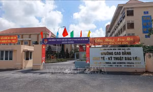 Hợp nhất các trường cao đẳng để phát triển mô hình đa ngành, đa lĩnh vực