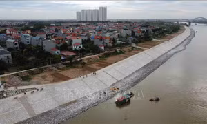 Tăng cường quản lý đê điều, chuẩn bị sẵn sàng hộ đê, chống lũ bão năm 2023