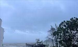 Bão số 3: Các địa phương đảm bảo an toàn trọng điểm đê biển, đê cửa sông xung yếu 