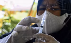 Indonesia tiếp nhận 516 triệu liều vaccine ngừa COVID-19