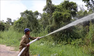 Kiên Giang phòng chống cháy rừng tràm U Minh Thượng