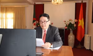 Việt Nam - Algeria từ quan hệ truyền thống đến hợp tác đôi bên cùng có lợi
