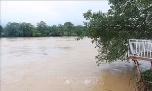 Lũ hạ lưu sông Cả đang lên