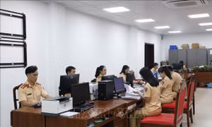TP Hồ Chí Minh: Tăng ca, làm cuối tuần đáp ứng nhu cầu cấp giấy phép lái xe