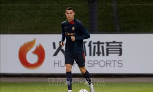 Bảng H - Chờ màn ra quân thắng lợi của Ronaldo và các đồng đội