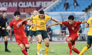 VFF đề nghị FIFA và AFC tăng cường kiểm tra chất lượng công tác trọng tài