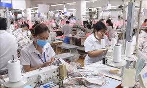 Kinh tế TP Hồ Chí Minh trở lại quỹ đạo tăng trưởng - Bài 4: Đồng hành cùng doanh nghiệp