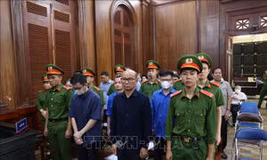 Thành phố Hồ Chí Minh xét xử sơ thẩm vụ án sai phạm tại khu đất 39-39B Bến Vân Đồn