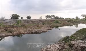 Tiền Giang: Bảo vệ gần 60.000 ha đất canh tác trước hạn hán, xâm nhập mặn 