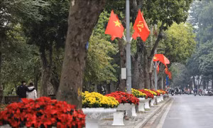 Trang trí, làm đẹp đường phố Thủ đô chào đón năm mới 2024