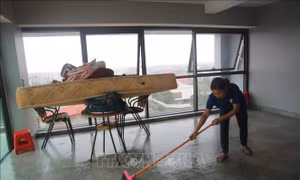 Dịch vụ 'nhà sạch' hút khách dịp Tết Nguyên đán