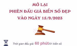 Mở lại phiên đấu giá biển số đẹp vào ngày 15/9/2023