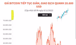 Giá tiền kỹ thuật số Bitcoin tiếp tục giảm, giao dịch quanh 20.600 USD