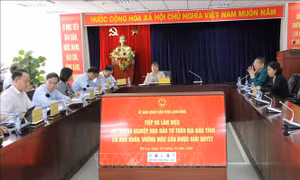 Lâm Đồng: Nhiều doanh nghiệp 'gặp khó' do làm sai so với giấy phép đầu tư