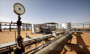OPEC+ nhiều khả năng sẽ duy trì kế hoạch cắt giảm sản lượng dầu