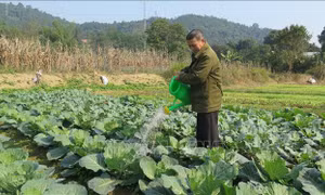 Ngăn nguy cơ hạn hán, đảm bảo nước cho vụ Đông Xuân