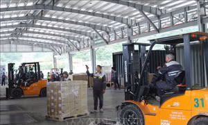 Tìm lời giải cho bài toán nhân lực logistics tại cửa khẩu