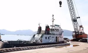 Tầm nhìn chiến lược - kỳ vọng tương lai: Tiềm năng 'vàng' từ sự 'cộng hưởng'