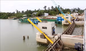 Cảnh báo nguy cơ gia tăng xâm nhập mặn ở Đồng bằng sông Cửu Long