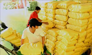 Xuất khẩu gạo trong tình hình mới - Bài 4: Tạo thương hiệu nâng sức cạnh tranh