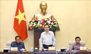 Chuẩn bị kỹ nội dung, chương trình Kỳ họp thứ 8, Quốc hội khoá XV