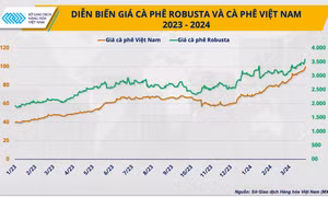 Giá cà phê sẽ hạ nhiệt nhờ nguồn cung vụ mới từ Brazil và Indonesia?