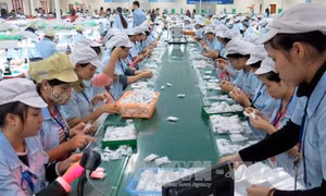 Nhiều yếu tố thuận lợi cho kinh tế tăng trưởng 
