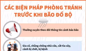 Các biện pháp phòng tránh trước khi bão đổ bộ