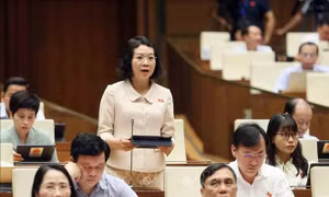 Việt Nam có cơ hội cơ hội tham gia sâu vào ngành công nghiệp bán dẫn của thế giới