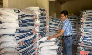 Siết chặt quản lý kinh doanh thức ăn chăn nuôi, thuốc thú y