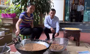 Làng nghề bánh nhãn Hồi Xuân tất bật vào vụ Tết