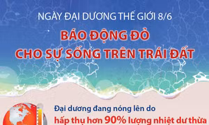 Ngày Đại dương thế giới 8/6: Báo động đỏ cho sự sống trên Trái Đất