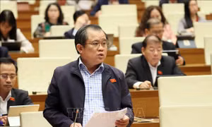 Khai thác và quản lý hiệu quả, có chính sách bảo vệ đất hiếm