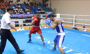 Khai mạc Giải vô địch Boxing toàn quốc năm 2024
