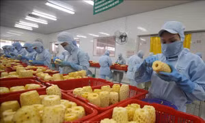 Nâng cao vị thế nông sản - Bài 1: Đòn bẩy cho kinh tế nông thôn