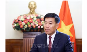 Bộ Ngoại giao hỗ trợ doanh nghiệp thúc đẩy hợp tác với Australia và New Zealand