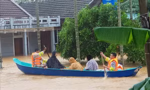 Bộ Ngoại giao quyên góp ủng hộ đồng bào các tỉnh miền Trung