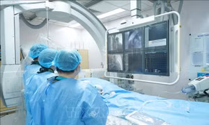 TP Hồ Chí Minh: Triển khai thành công kỹ thuật thay van động mạch phổi qua da