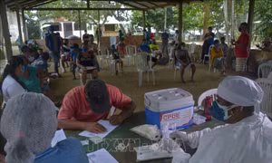 Brazil phát động chiến dịch chống các loại vaccine ngừa COVID-19 giả