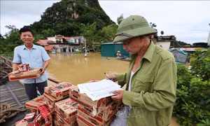 Ninh Bình: Dừng di dời người dân do lũ trên sông Hoàng Long đang xuống